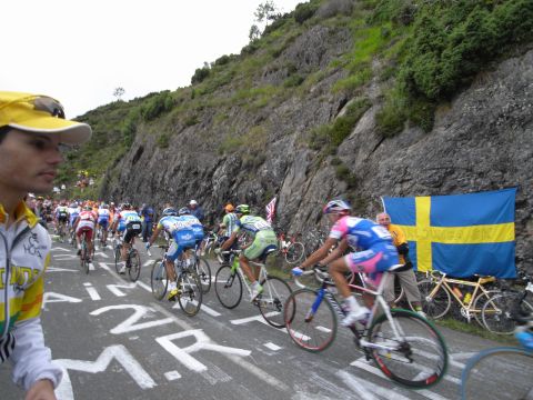 TDF08-21.jpg