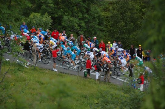 TDF08-40.jpg