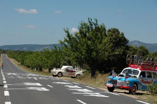 TDF08-53.jpg