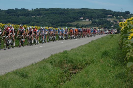 TDF08-91.jpg