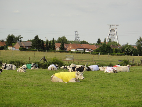 Tour de France 2010 st.3