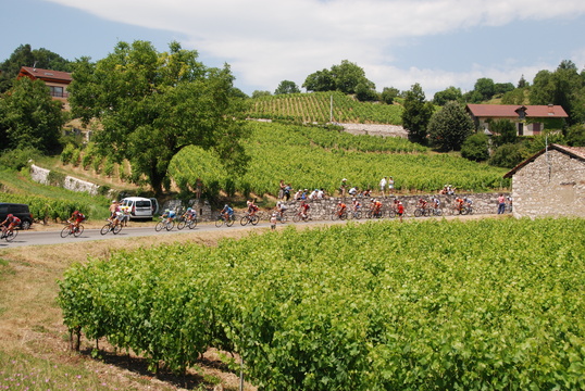 Tour de France 2010 st.10