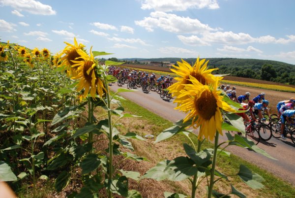 TDF2009-st12-06