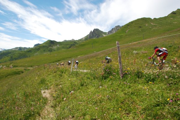 TDF2012-st11-06