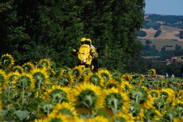 TDF2012-st15-01