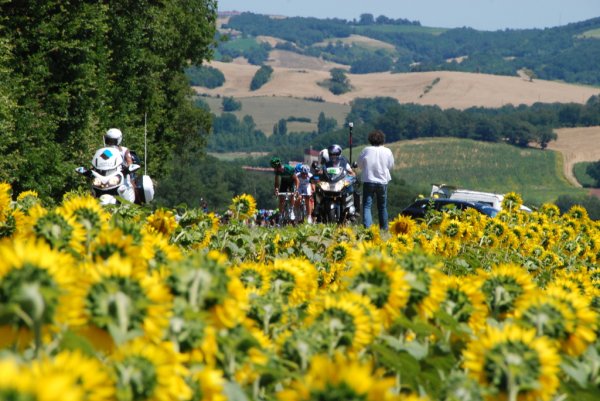 TDF2012-st15-02