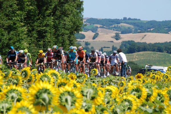 TDF2012-st15-03