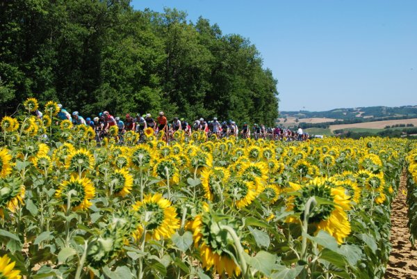 TDF2012-st15-04