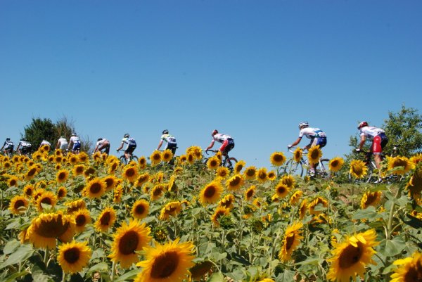 TDF2012-st15-07