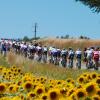 TDF2012-st15-08