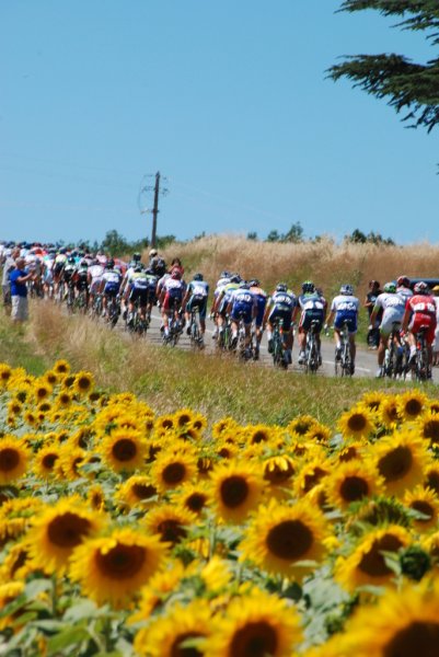 TDF2012-st15-08