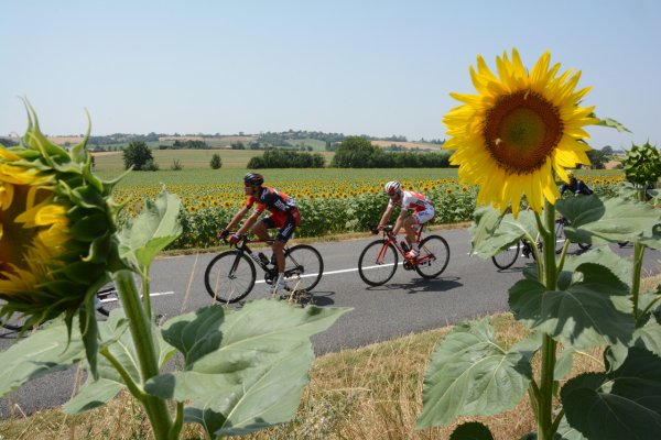 TDF2015-st13-02