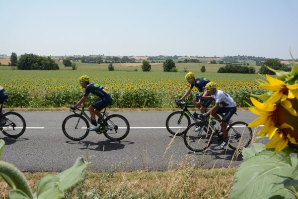 TDF2015-st13-03