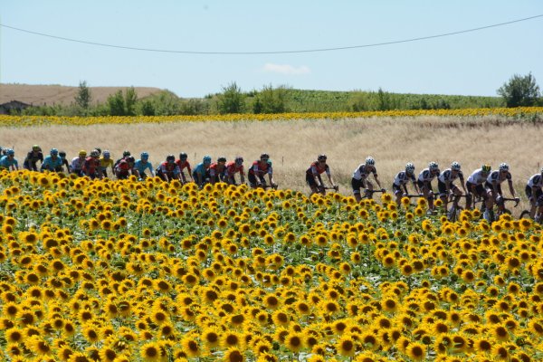 TDF2017-st14-5