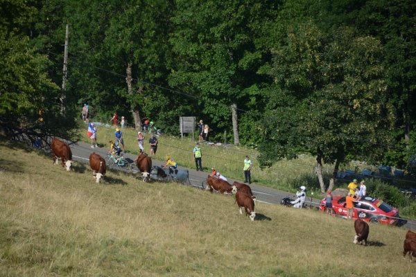 TDF2018-st10-04