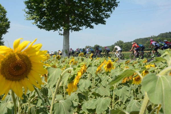 TDF2018-st18-04